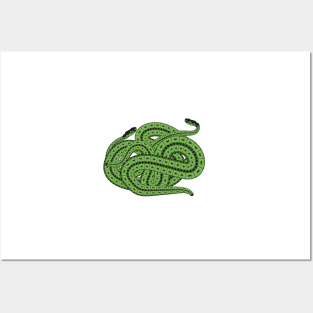 Two Slithering Green Snakes Reptiles Posters and Art